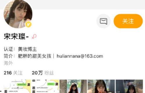 网红海王爆料事件视频,揭秘网络红人背后的情感纠葛